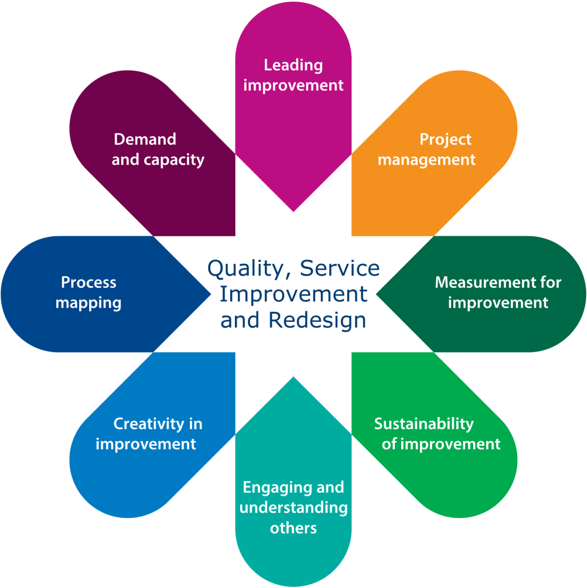 Model diagram for quality, service improvement and redesign