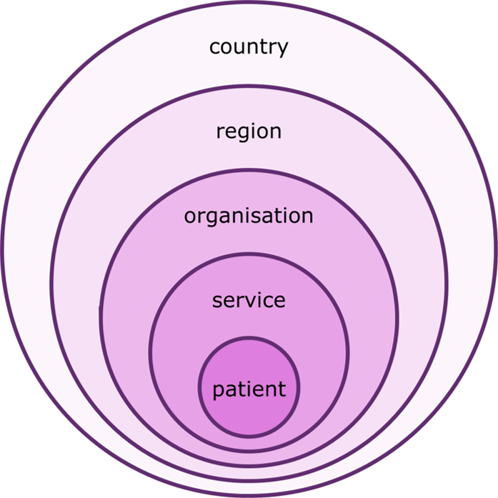 Concentric circles showing the patient inside a service which is inside an organisation which is inside a region which is inside a country